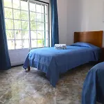 Quinta Flores, Lote 9 فيلة البوفيرا